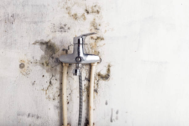  Jay, OK Mold Removal Pros