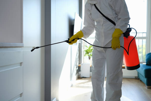 Best Professional Mold Removal  in Jay, OK