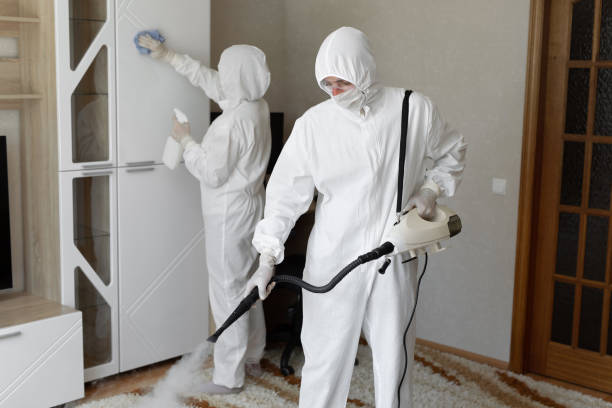 Professional Mold Removal in Jay, OK